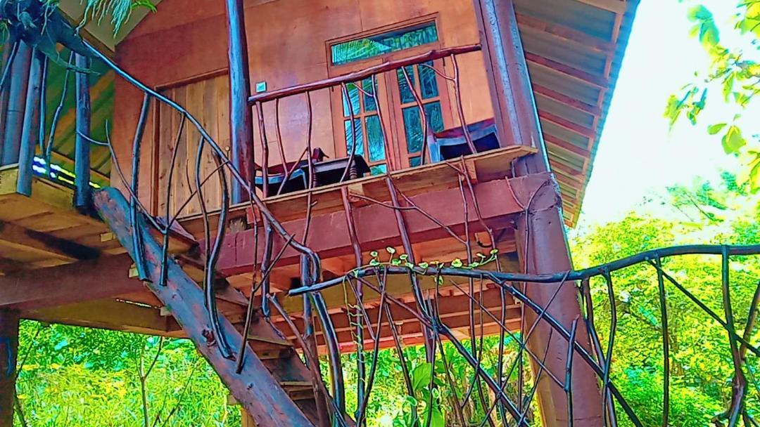 Отель Sigiri Aliya Tree House Сигирия Экстерьер фото