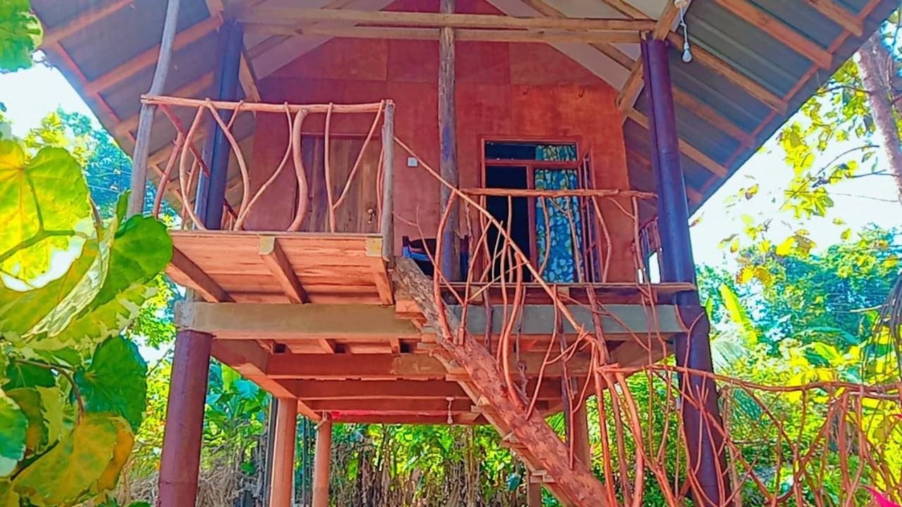Отель Sigiri Aliya Tree House Сигирия Экстерьер фото