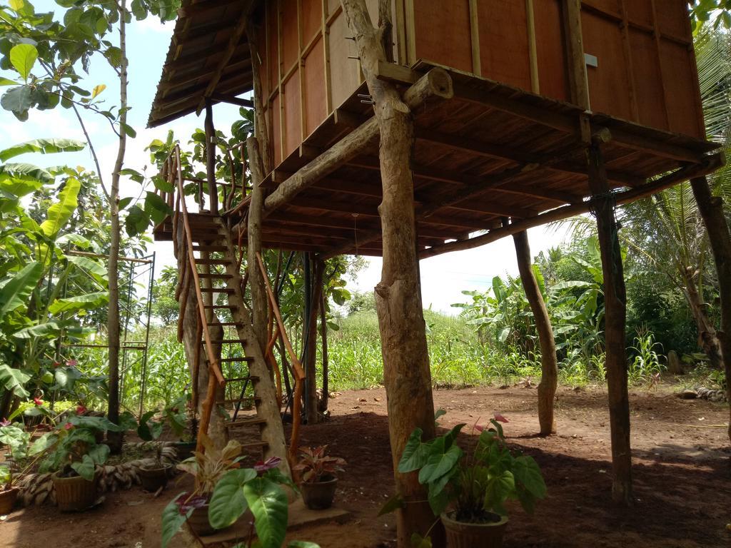 Отель Sigiri Aliya Tree House Сигирия Экстерьер фото