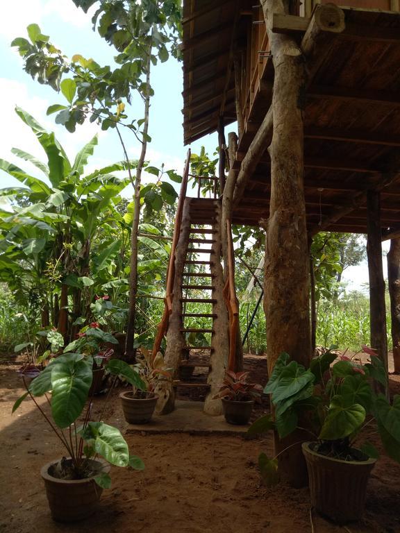 Отель Sigiri Aliya Tree House Сигирия Экстерьер фото
