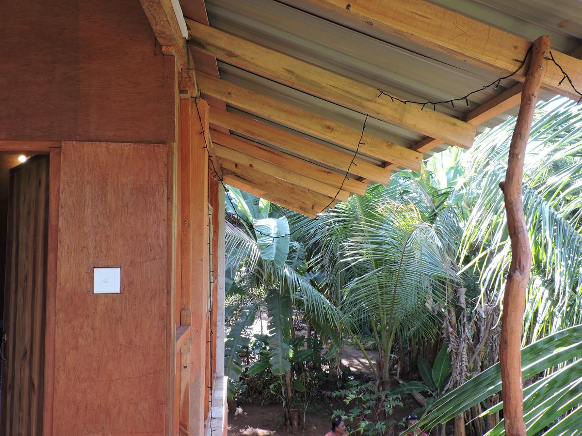 Отель Sigiri Aliya Tree House Сигирия Экстерьер фото