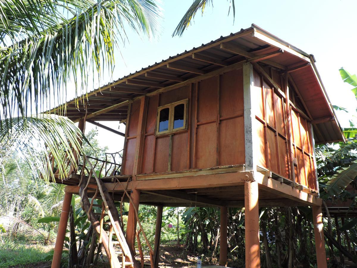 Отель Sigiri Aliya Tree House Сигирия Экстерьер фото