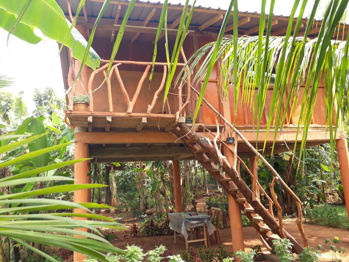 Отель Sigiri Aliya Tree House Сигирия Экстерьер фото