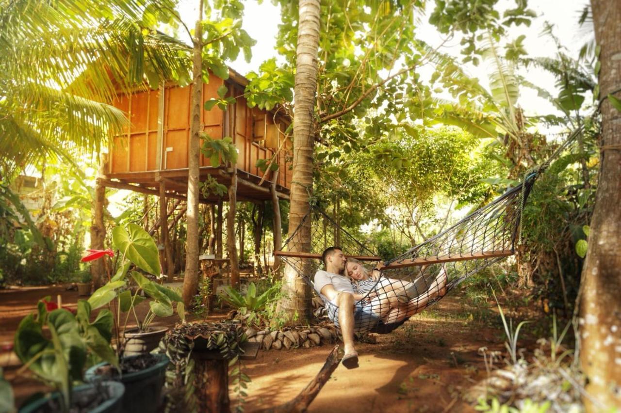 Отель Sigiri Aliya Tree House Сигирия Экстерьер фото