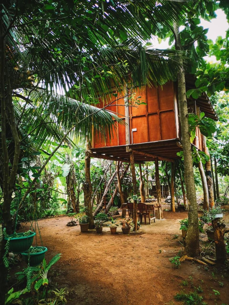 Отель Sigiri Aliya Tree House Сигирия Экстерьер фото